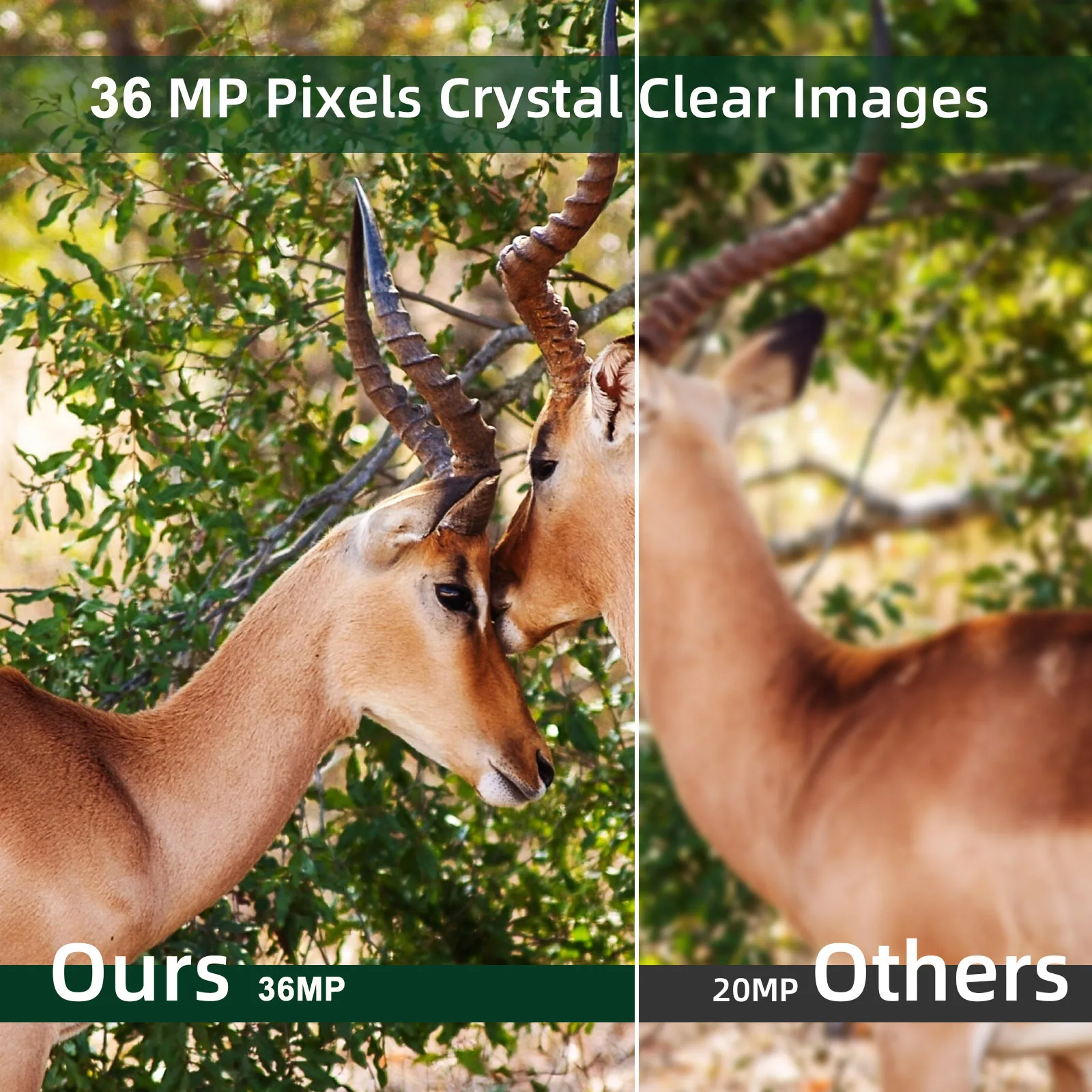 suntekcam Tuya Platform Hunting Trail Camera 2K 30MP Live stream Support Wireless Night Vision Cellular Wildlife Camera Tuya935