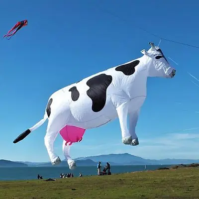 Hot selling customized Dog Kite Line Laundry soft inflatable show kite with Bag for for outdoor sport
