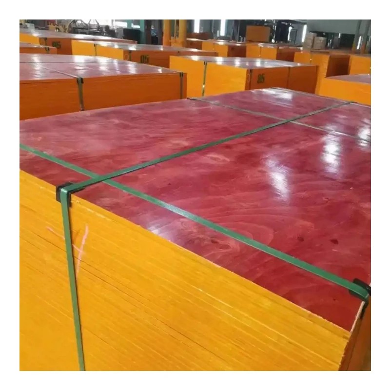 Commercial plywood pine/eucalyptus plywood