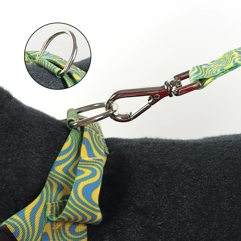 Heavy Duty Custom Printed Color and Pattern Training Dog Harness and Leash Set with Strong Plastic Buckle and Comfortable Handle