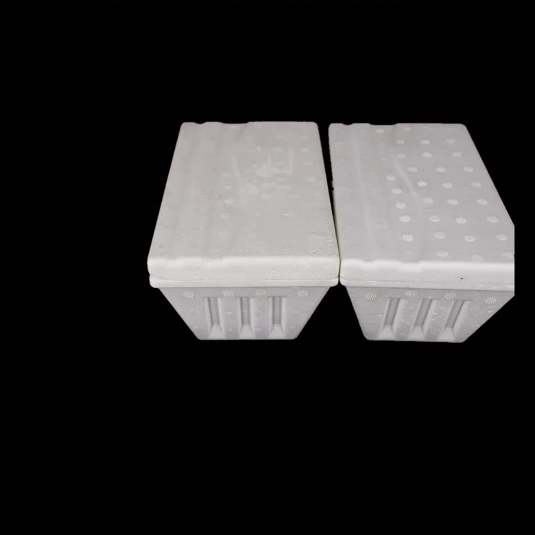 Изолированный контейнер для мороженого eps ледяного ящика EPS мороженое пенопластовый ящик