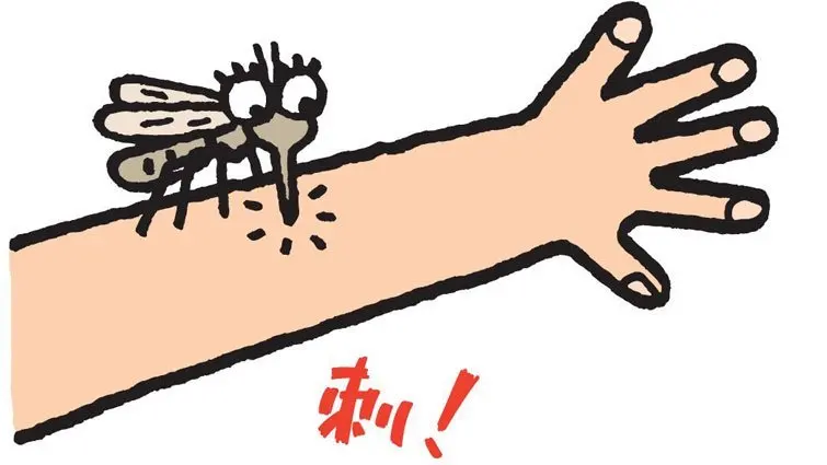 Insecticide essential oil summer natural plant essential oil repel mosquito insect control