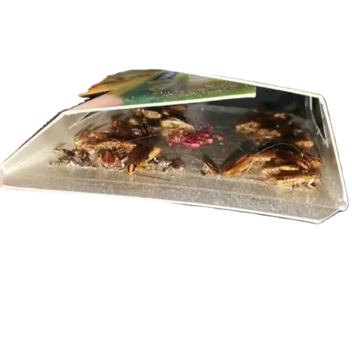 BSTW Cockroach Bait Box Cocroach Killing Bait Powder Cockroach House Cockroach Killing