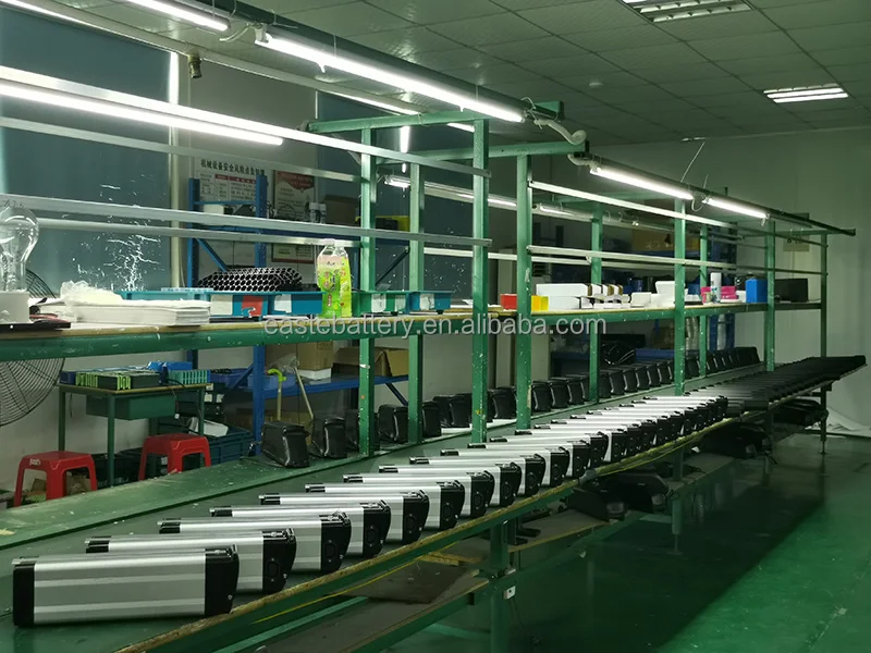 silver fish battery (2)