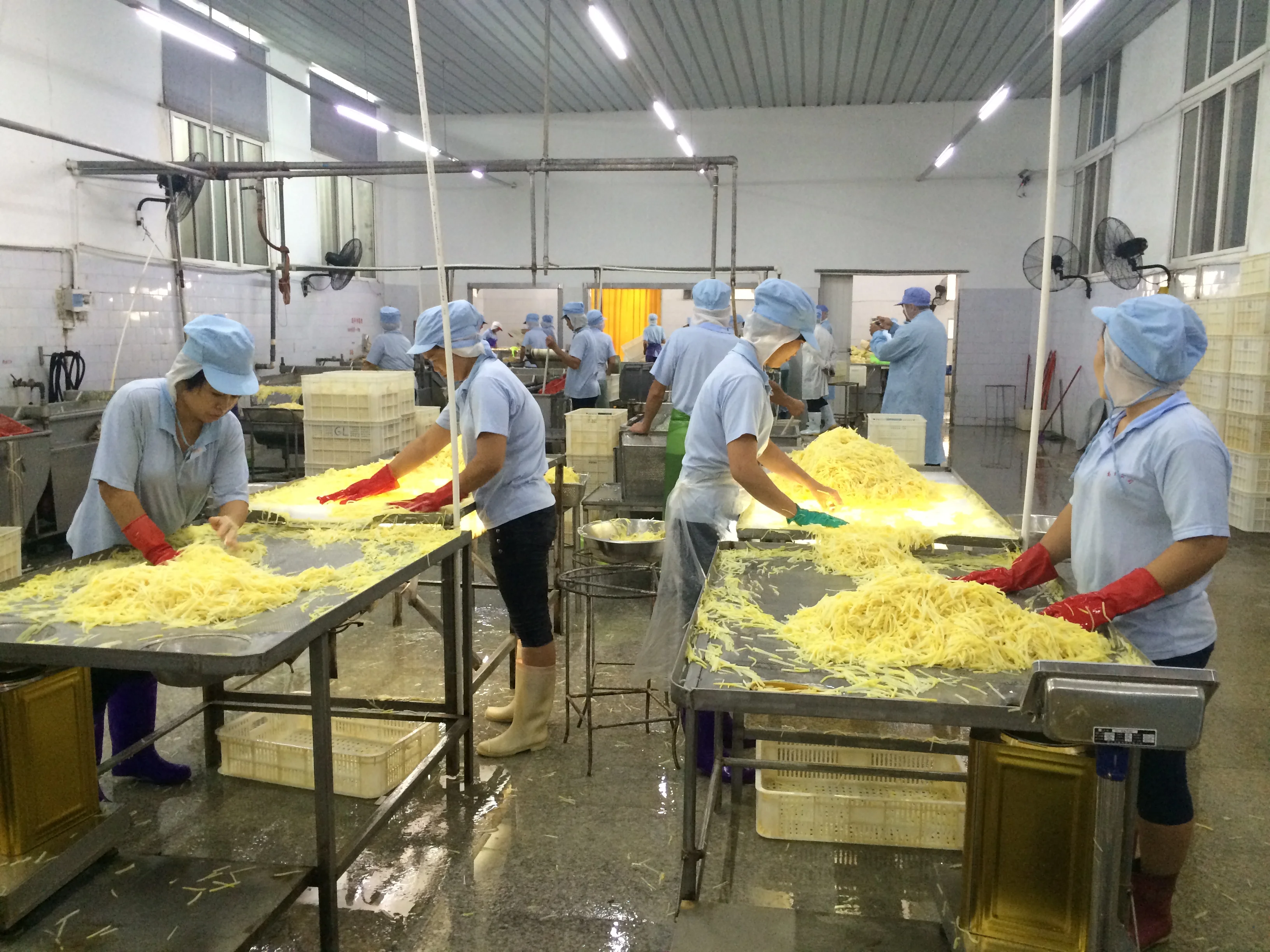 BEST PRICE - VIETNAM CANNED BAMBOO SHOOT STRIP/SLICES/WHOLE/HALVES WITH HIGH QUALITY ( Whatsapp: +84975262928, Helen)