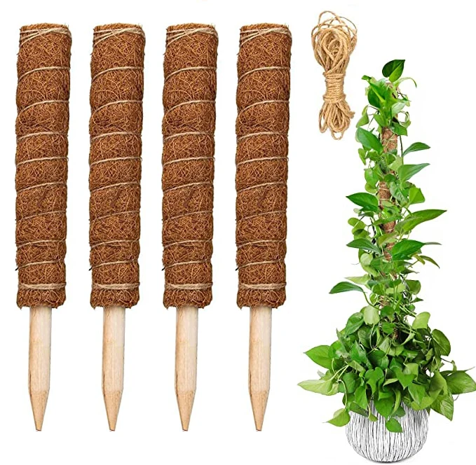 Hot Sale Professional Lower Price Sphagnum Plant Coir Moss Pole