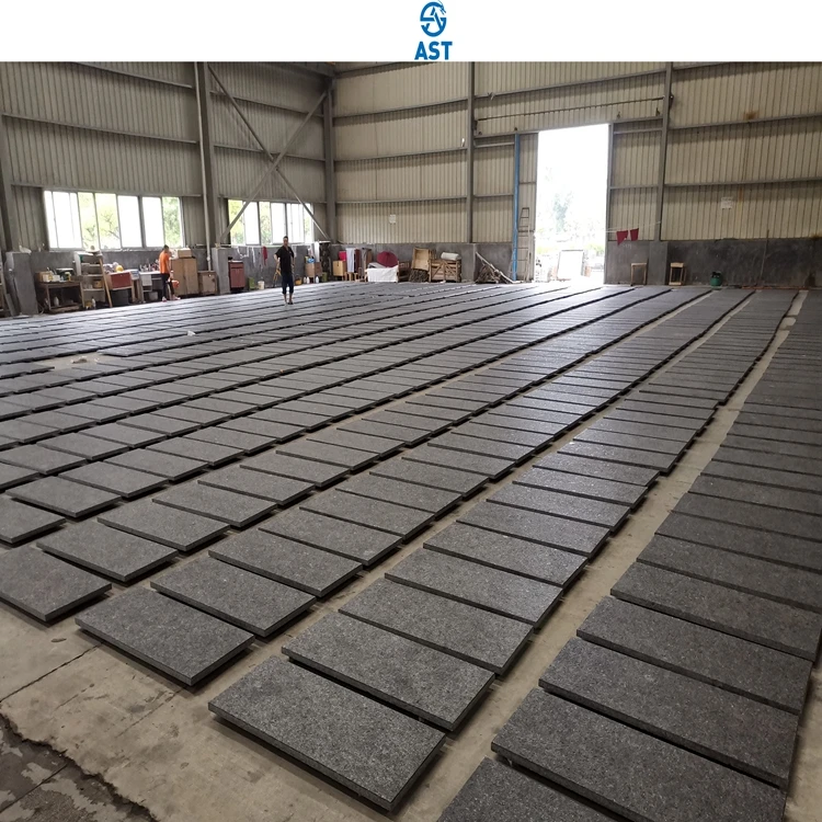 Flamed Surface Pure  Antique Black Granite Angola Black Granite Cut To Size Tile For Outdoor Floor