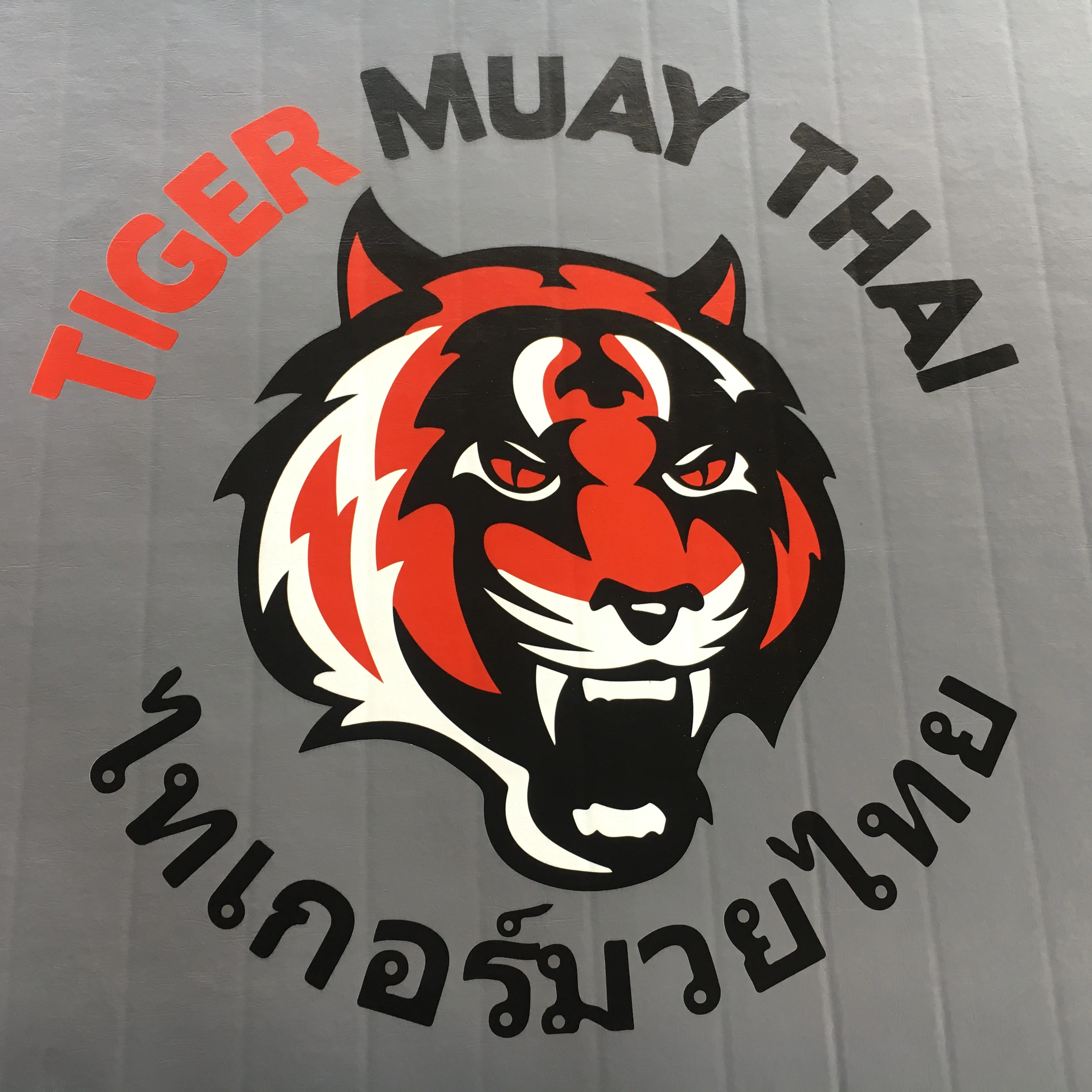 Silicon Rolling Pastry Mat Translucent Rubber PVC Vinyl Flooring Mat Roll Flexible Grey Tatami Judo Mat Martial Arts Clothing