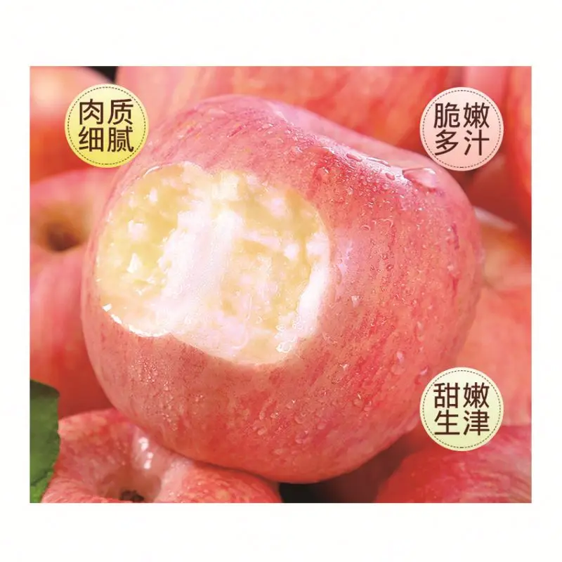 Wholesale Fruit Fresh Fruits Apples Delicious Fuji Fresh Apples