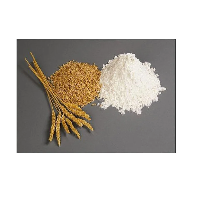 wheat gluten 25kg/bag  gluten for Bread, pasta, etc