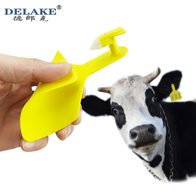 Delake High Quality Large Size Cattle Cow Ear Tag Farmer Use Ear Tag Connected One Piece Ear Tag With Applicator Pliers