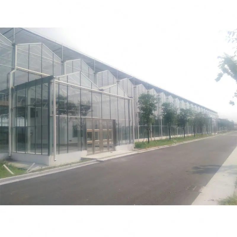 
multi-span glass hydroponic growing systems greenhouse sale 