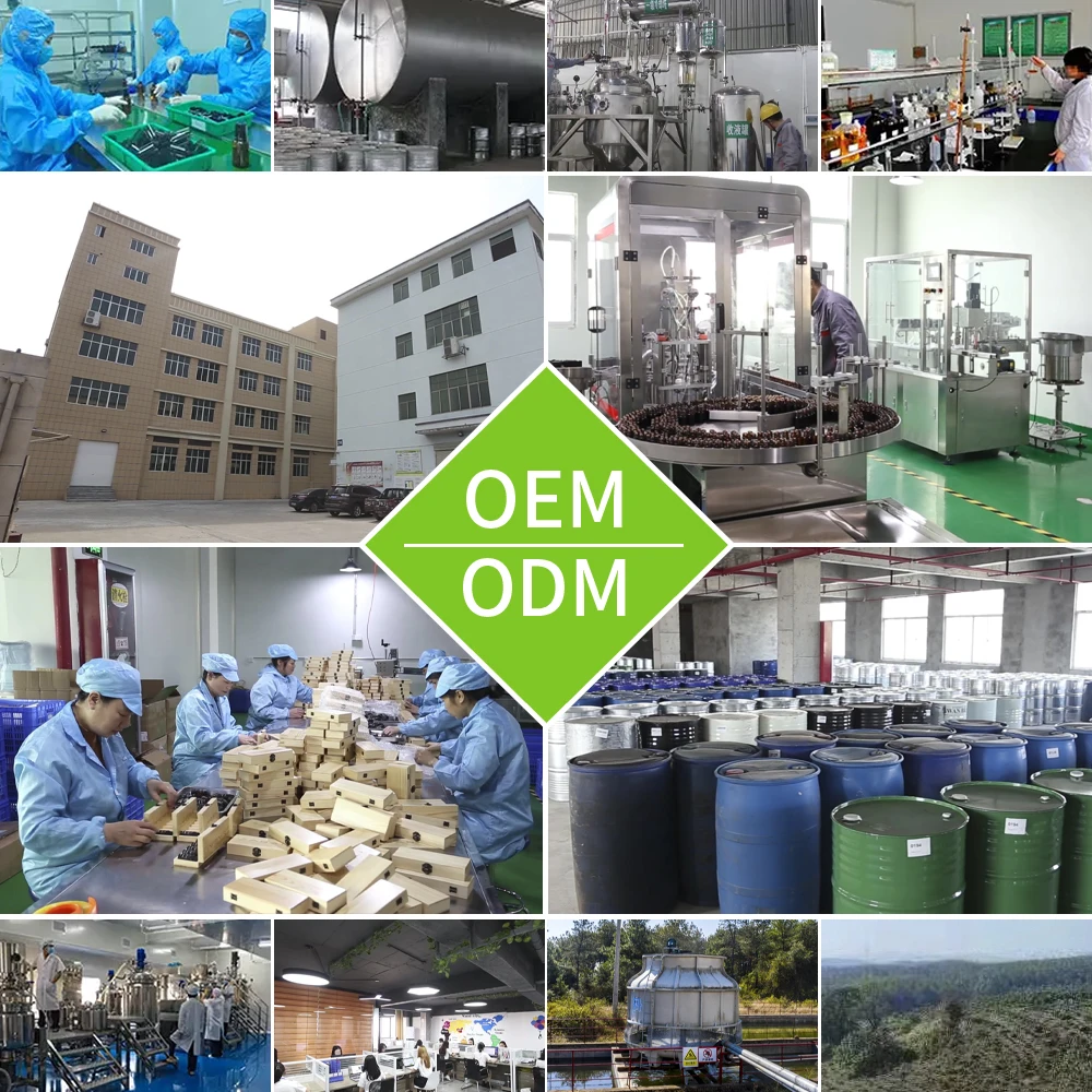 Manufacturer Neem Oil Price Natural Plants Neem Fragrance Oil Carrier Oil  Bulk  For Candle And Soap Making