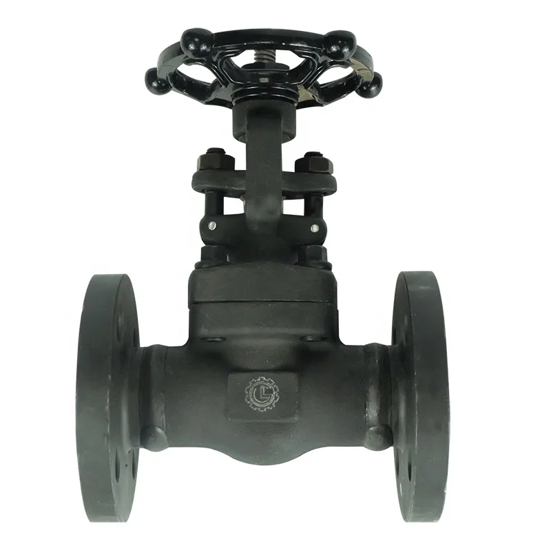 DKV Z41H ANSI 150# Forged Steel Gate Valve PN16/25/40 300LBS Forged Steel Flange Gate Valve OS&Y