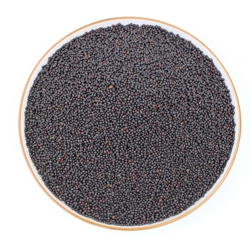 wholesales top quality Western food spices pickled black mustard seeds green food brassica nigra seeds black master seeds