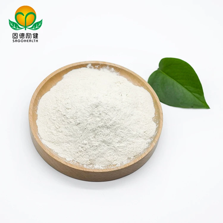 Bulk Wholesale Supply Top-quality Organic Rice Protein