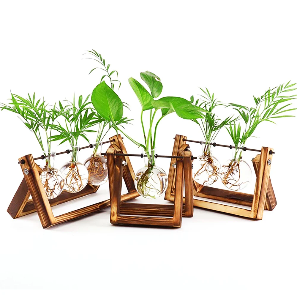 plant glass cotton wholesale glass container air plant geometric terrarium Wooden frame hydroponic plant glass pot