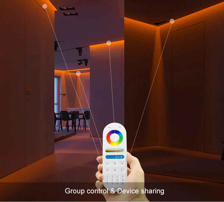 Led Light Controller 12v 24v