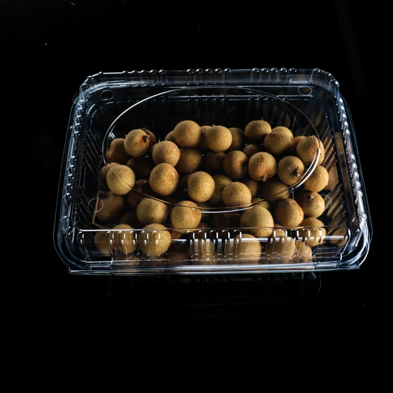 PET clamshell takeaway box plastic disposable hinged fruit container with lid for supermarket