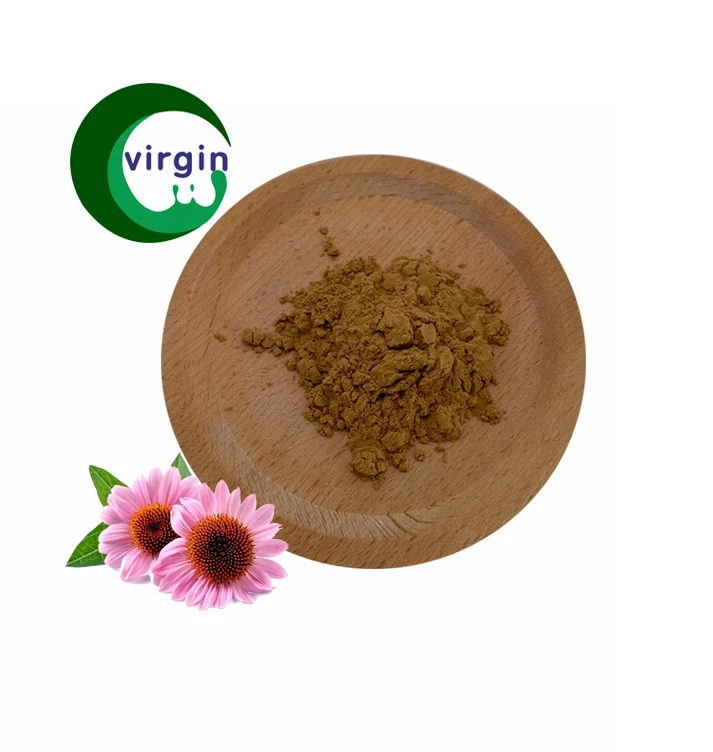 ISO factory supply 4% polyphenol (uv) +1% cichoric acid (hplc)/Echinacea Extract powder
