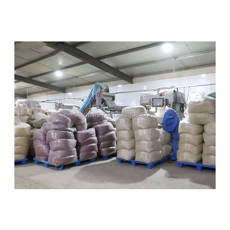 Wholesale Food Grade Red Dehydrated Onion Dried Sliced Onion Fried Shallot