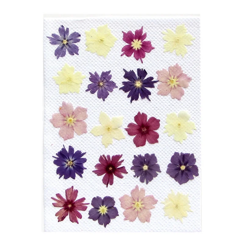 20pcs/bag Phlox Vary Shape Nail Art Frame Wedding Resin Art Pressed Flowers