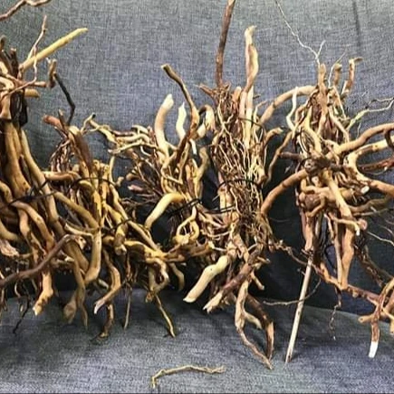 Аквариум и бонсай мангровая древесина driftwood root tweety