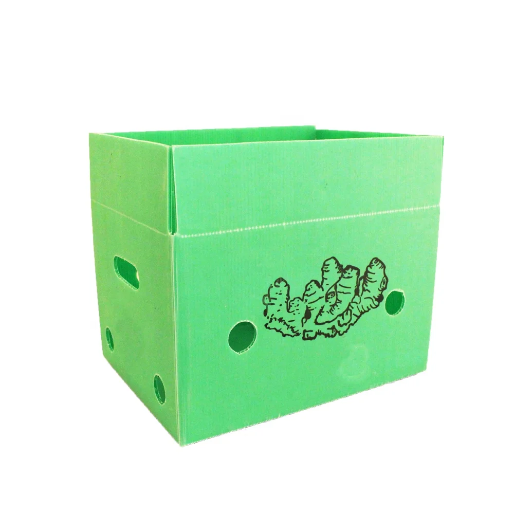 pp corflute boxes corrugated plastic vegetable storage boxes
