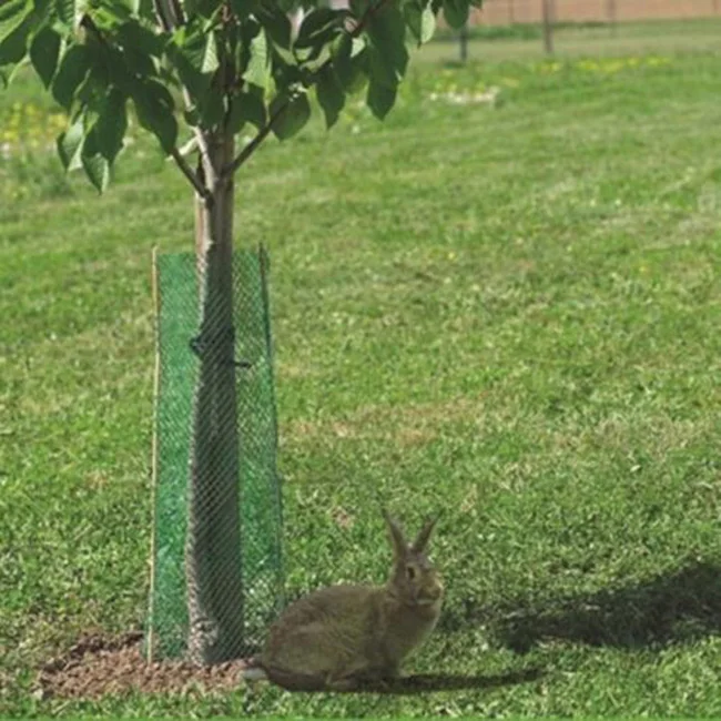 HDPE Tree Guard Mesh with UV Stabilized