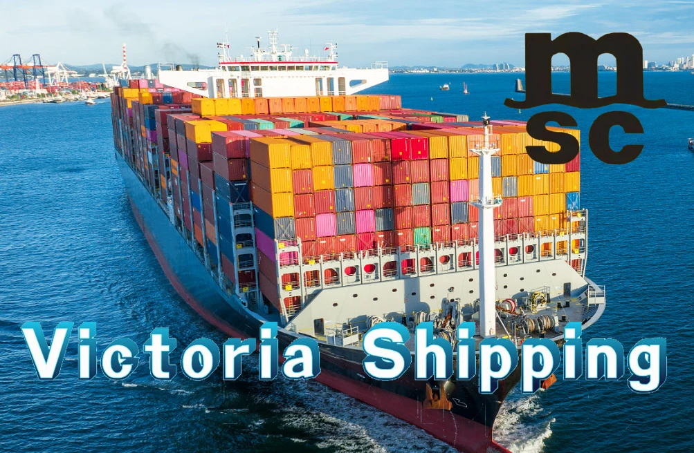 All-In-One Agent Delivery Worldwide International Delivery Door To Door Canada Ship Amazon Fba