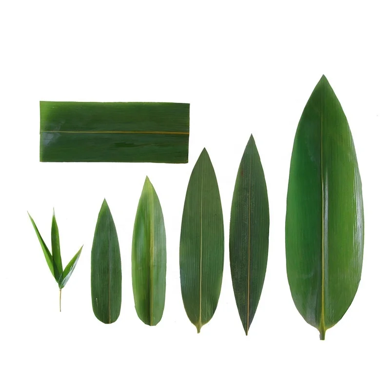 Wholesale Big Size Natural Fresh Green Color Bamboo Leaf Leaves Bamboo Raw Materials For Dragon Boat Zongzi