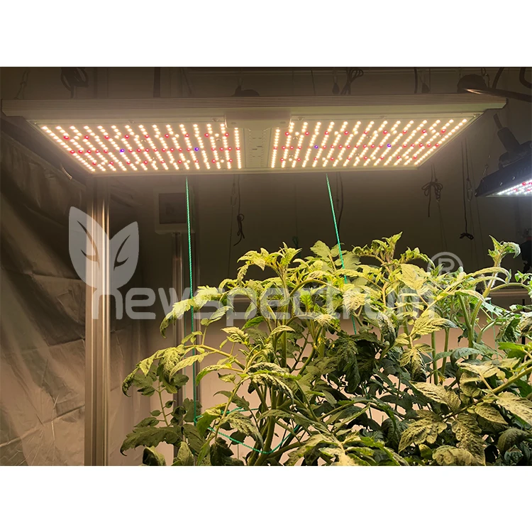 Newspectrum Смарт-приложение светать УФ ИК полный спектр светодиодные панели 240W доска для Крытый Смарт внутри лампы растений Wi-Fi