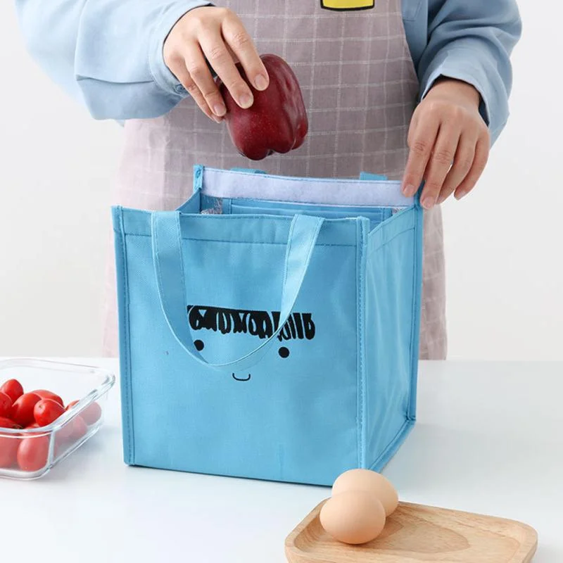 Cute Cartoon Thermal Insulated Student Tote Lunch Pouch