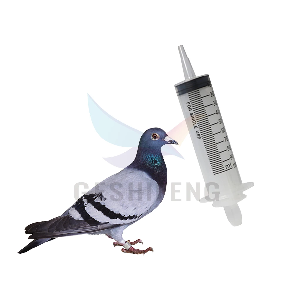12ml 20ml 60ml 100ml Baby Bird Pigeon Parrot Water Food Feeding PP syringes Food Feeder