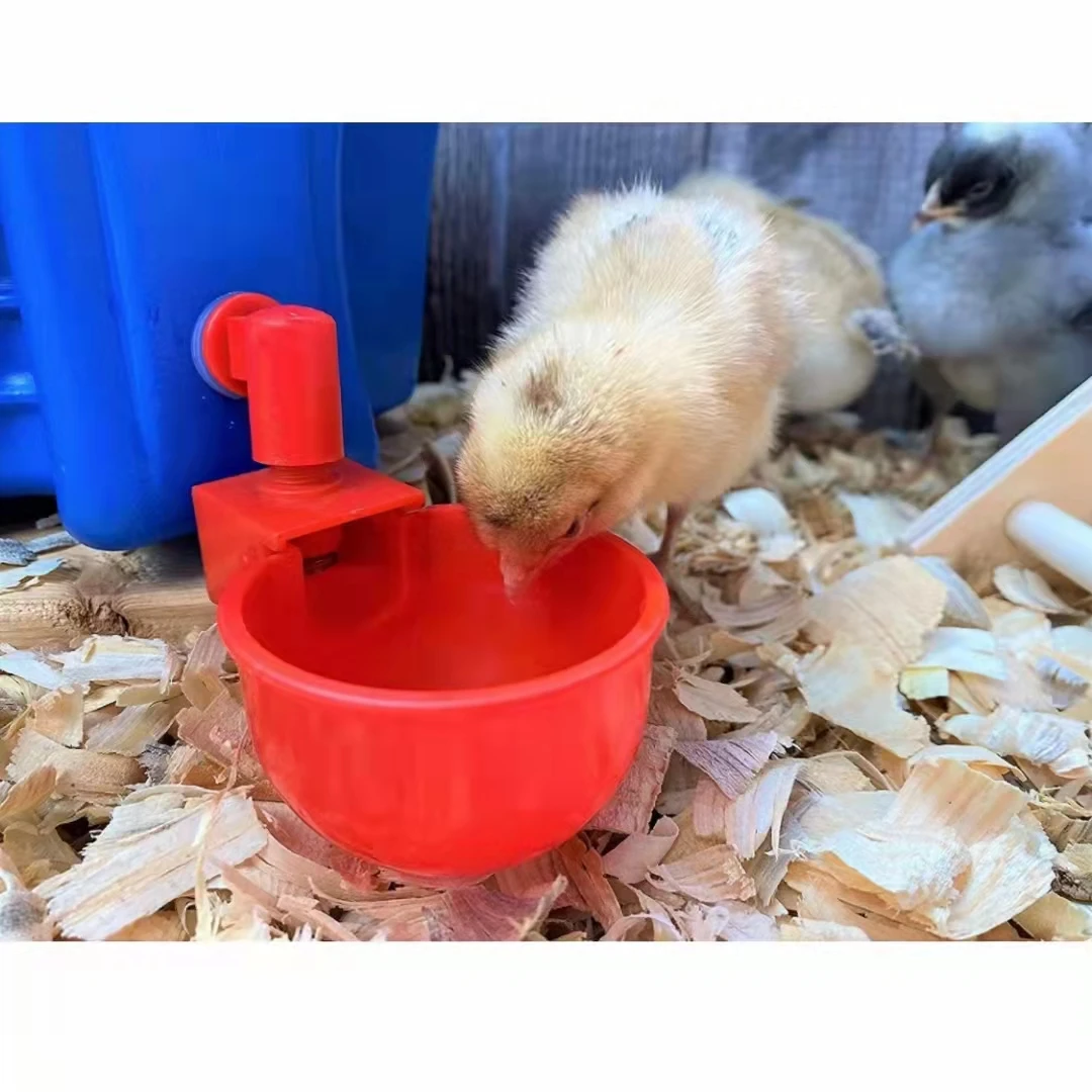 Livestock Automatic Chicken Farming Plastic Water Bowl Nipple Chicken Drinkers