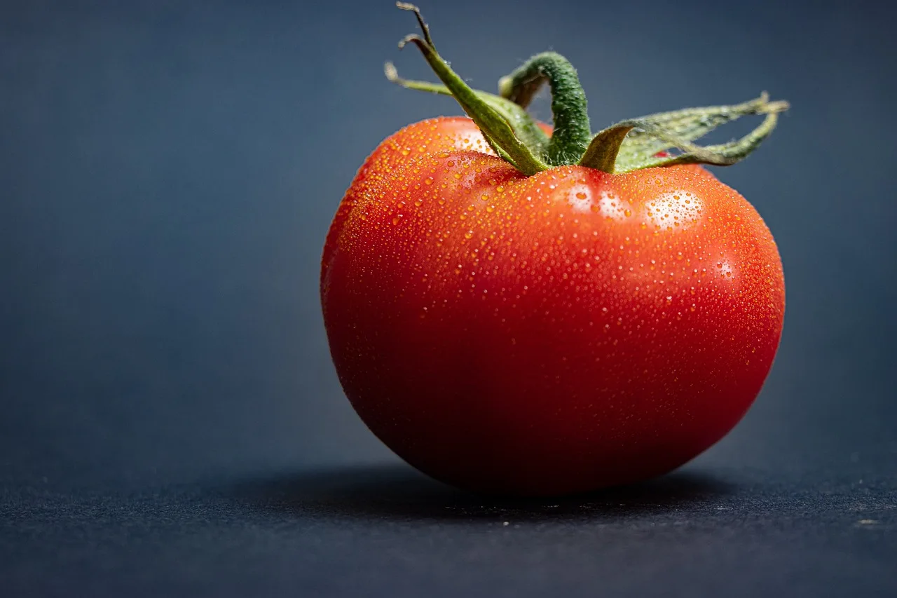 Indonesia HOT sell Fresh Tomato sweet  Natural red  Best quality wholesale fresh cherry tomatoes