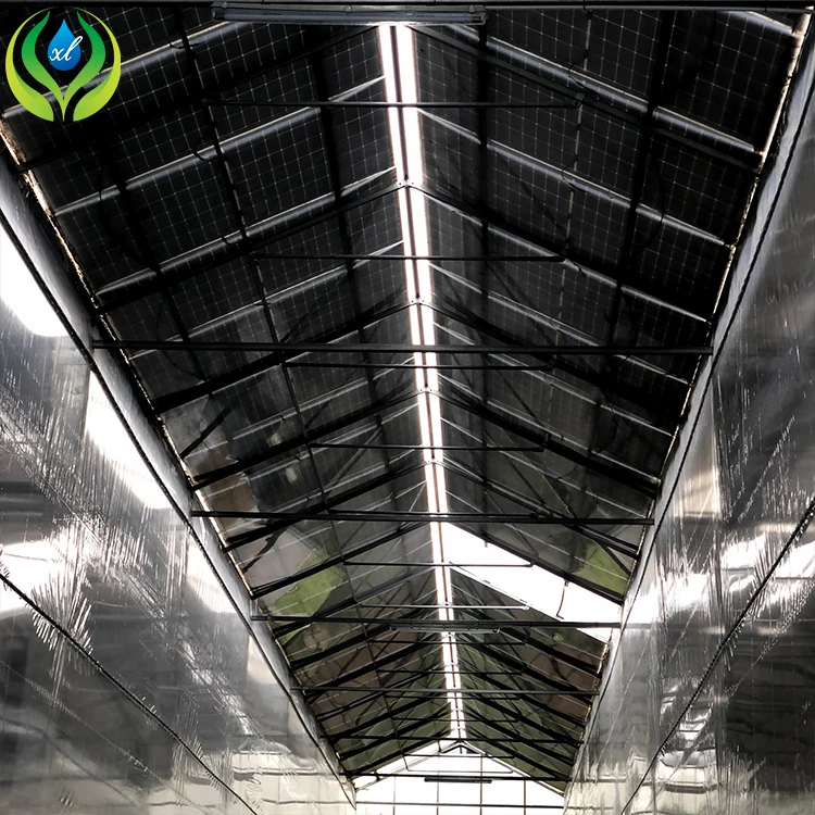 MYXL aquaponics fish farms tanks greenhouse hydroponics aquaponics growing system fish tank for fish and vegetable
