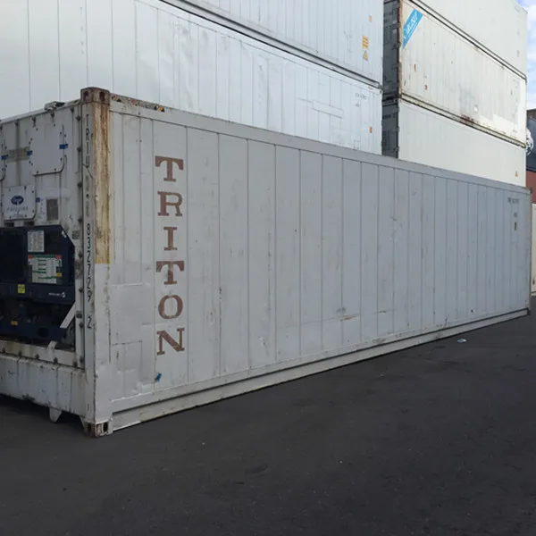 Cheap 40ft Reefer Container Refrigerated Container equipped with Carrier Microlink-3 Machine