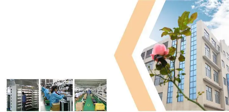 13 litre electric pizza oven