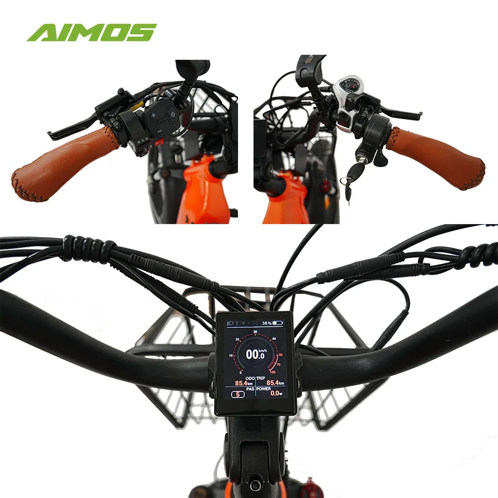 20 Inch Electric Trike 500W 750W 1000w Motor Fat Tire 3 Wheel E Bike Tricycle Three Wheels Adult Cargo Electric Bike With Basket