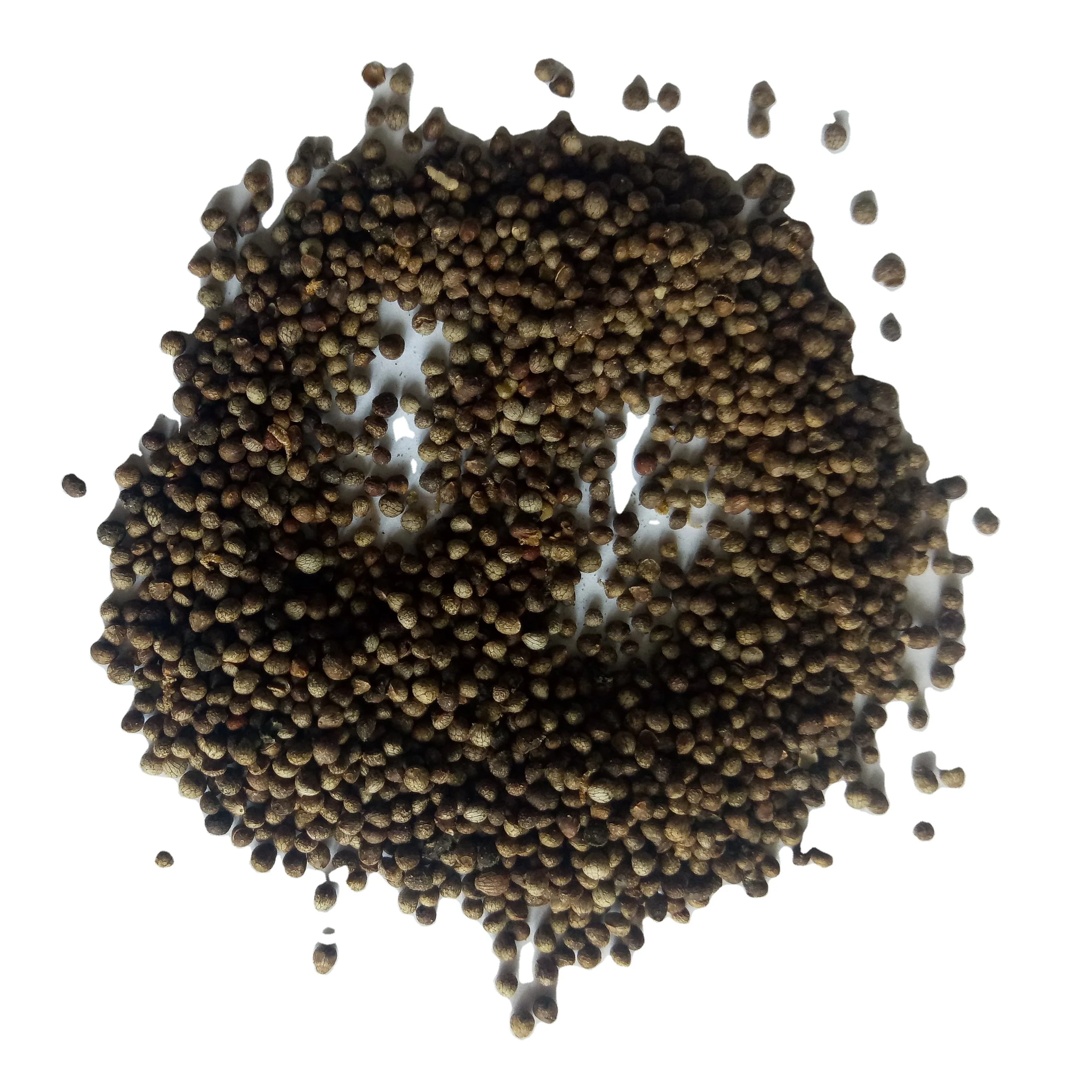 Pure New havested Deulkkae Perilla frutescens seeds for planting