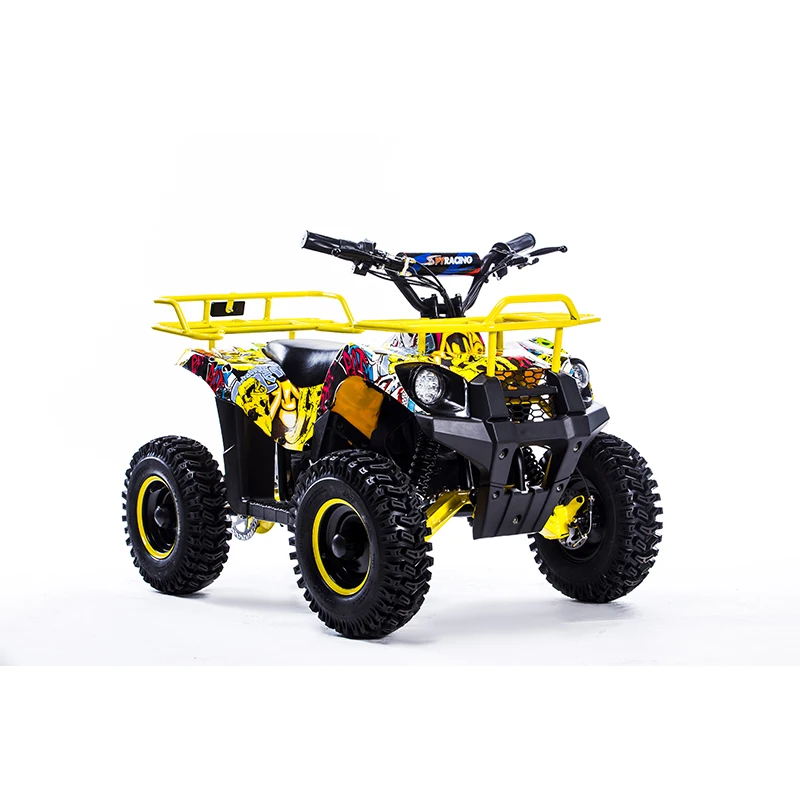 Quad Bikes 24V 36V 48V 350W 500W 800W 1000W Mini Electric