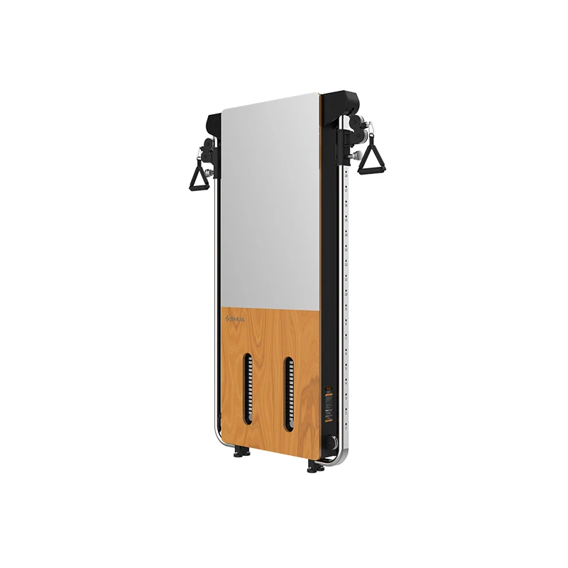 SH-G699 Wall mounted mirrored crossover 8 k stainless steel mirror  training equipment shua brand fitness supplier