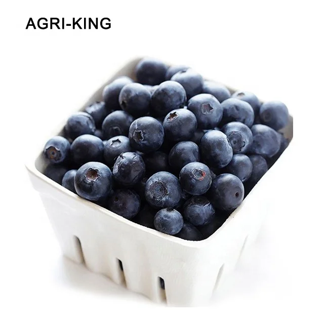 exports iqf frozen blueberry prices