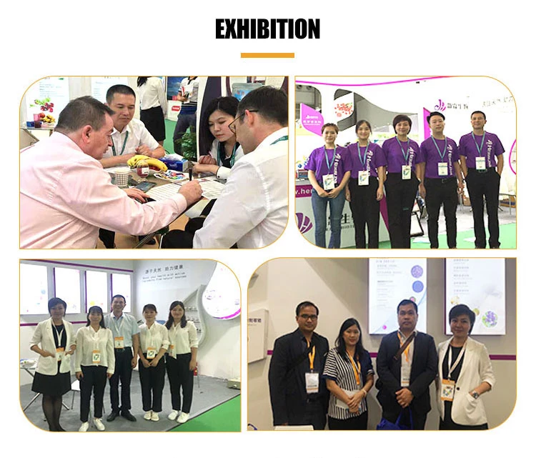 Natural Ginger Root Extract Powder Ginger Extract Ginger Powder