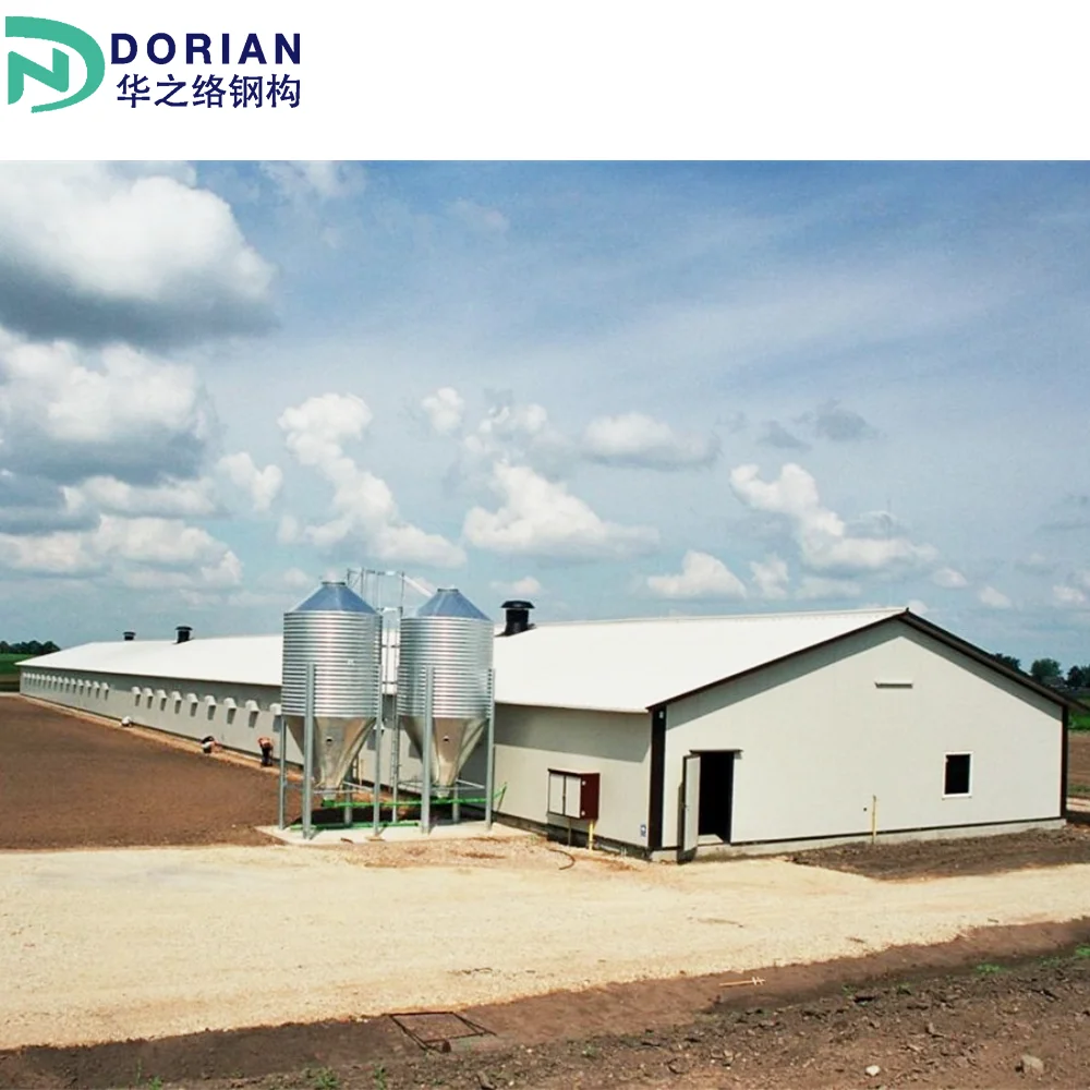 Low Cost chicken house floor poultry farm Designs Prefabricated Steel Structure chicken farm building kit sets nz