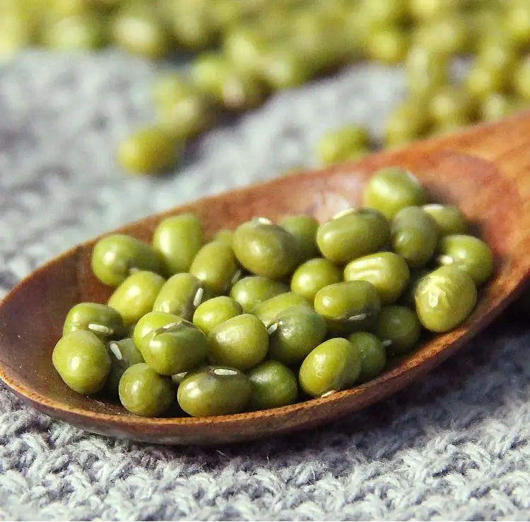 High Quality Vigna Radiata Natural Green Mung