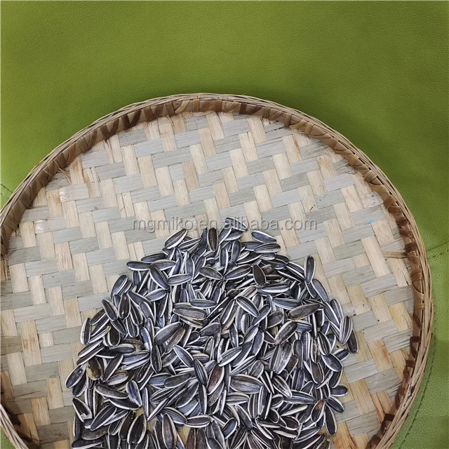 Chinese wholesale sunflower seeds 363  best quality cheap price export factory Sunflower Seeds
