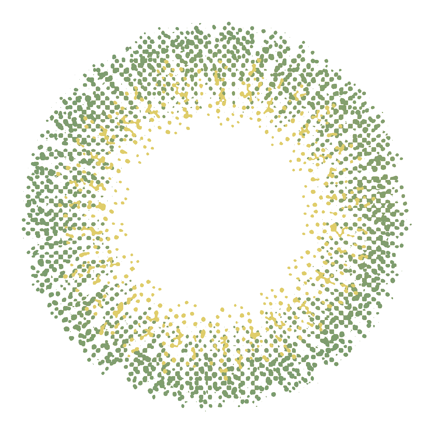 colored contact lenses  using cycle 6 months popular lenses for USA market