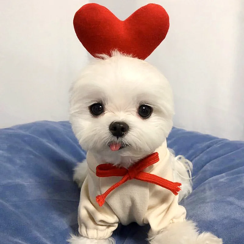 Winter Fall Costume Dog Hoodie Sweatshirts Puppy Sweaters for Chihuahua Doggie Pet Cat Warm Fleece Coat Outfit